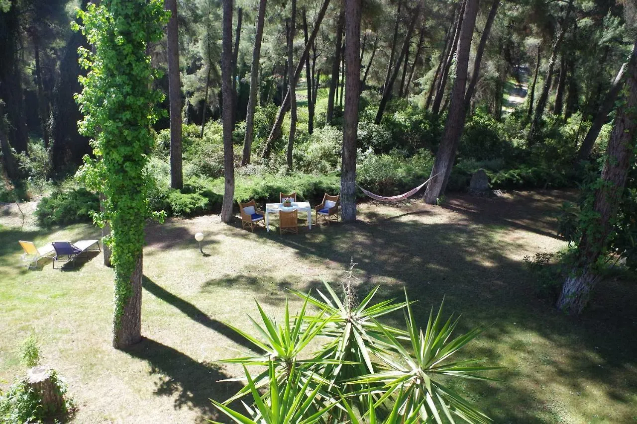 Vakantiehuis Beautiful Summerhouse In Sani'S Pine Forest Sani