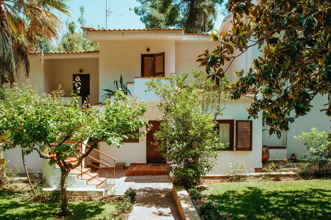 Beautiful Summerhouse In Sani\'S Pine Forest location