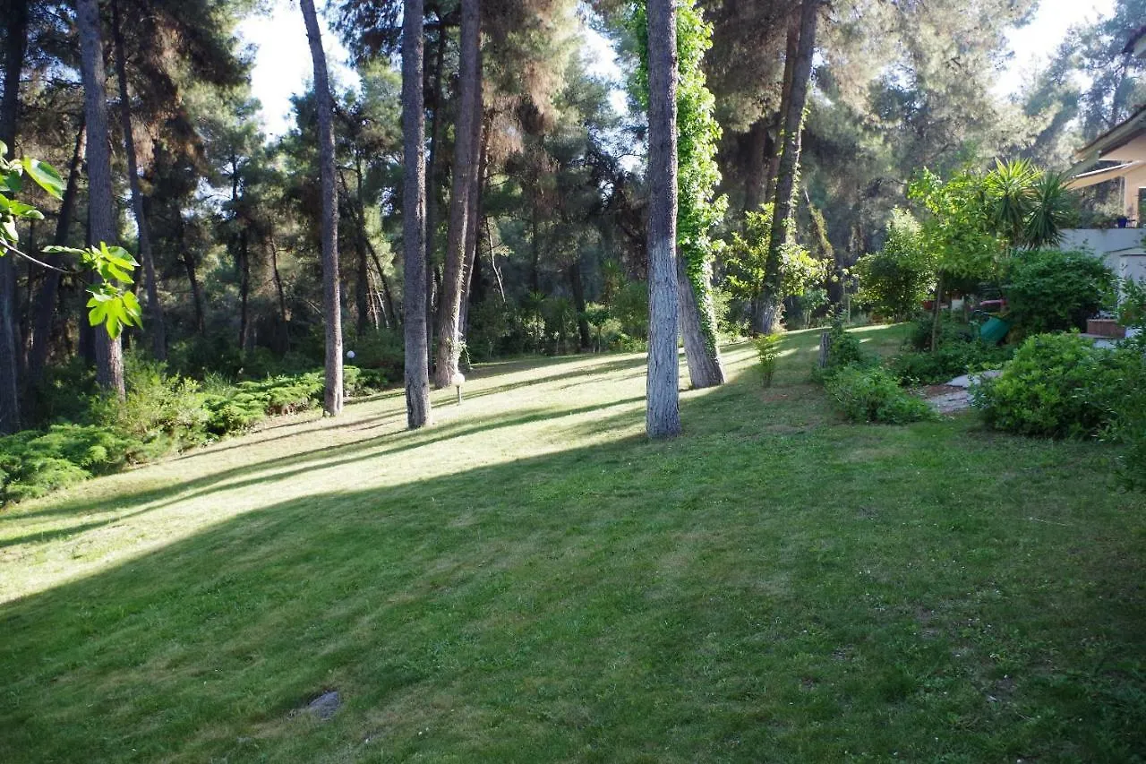 סאני ביץ' Beautiful Summerhouse In Sani'S Pine Forest בית נופש