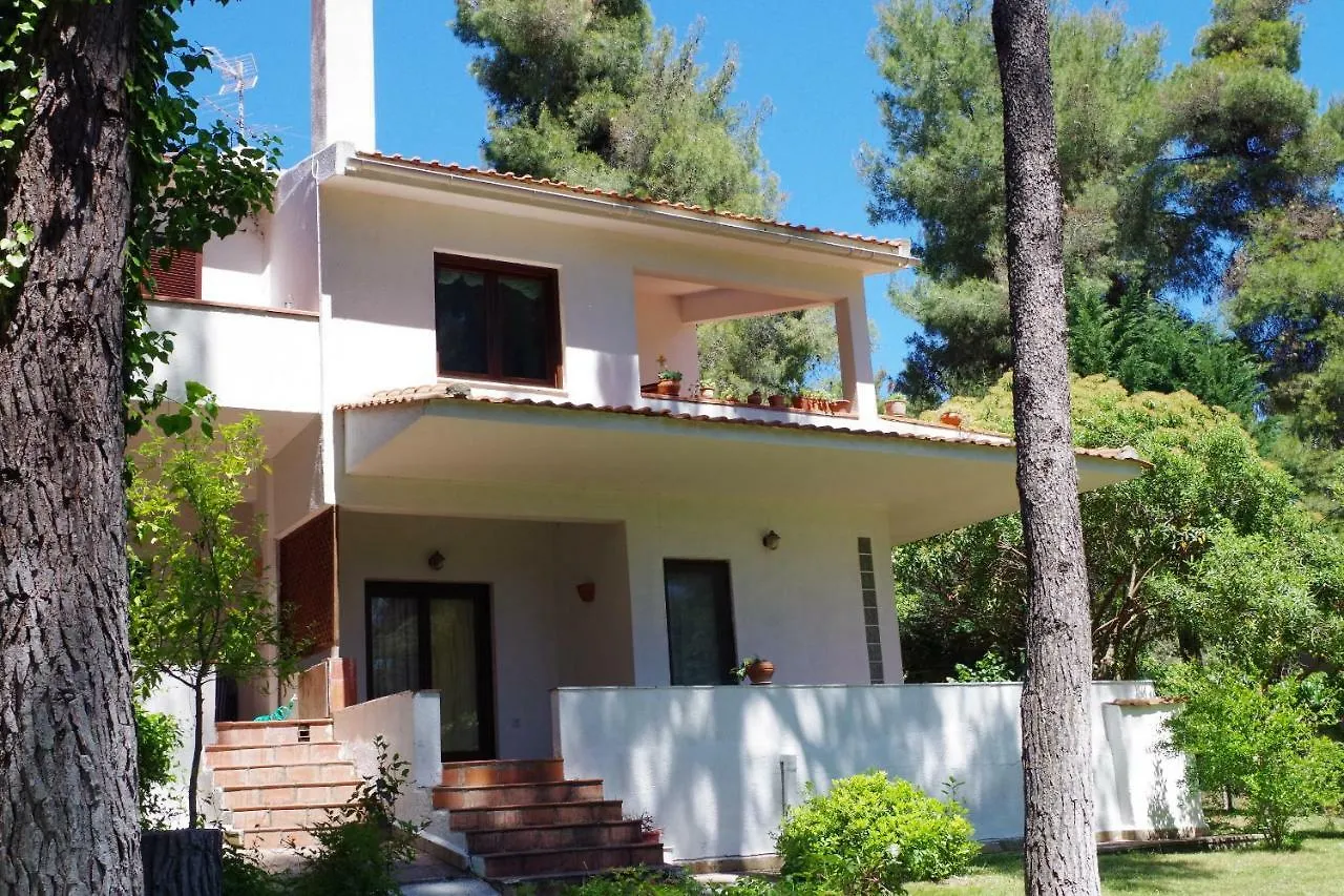 סאני ביץ' Beautiful Summerhouse In Sani'S Pine Forest יוון