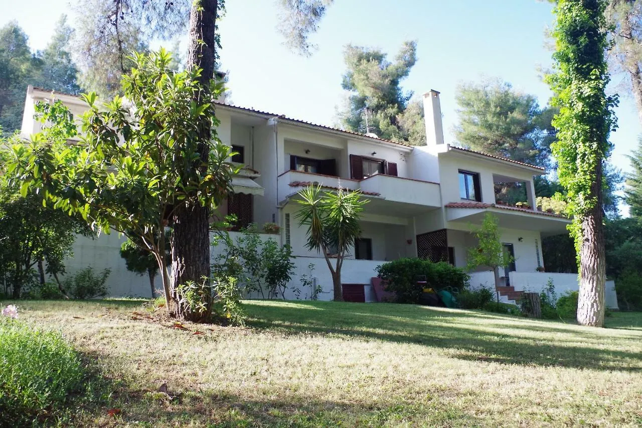 סאני ביץ' Beautiful Summerhouse In Sani'S Pine Forest