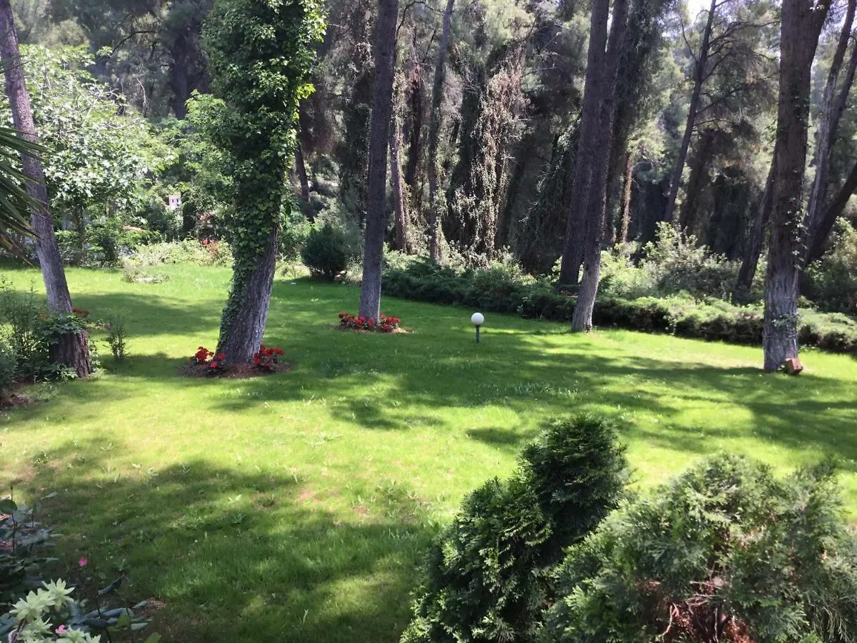 סאני ביץ' Beautiful Summerhouse In Sani'S Pine Forest 0*, סאני ביץ' יוון